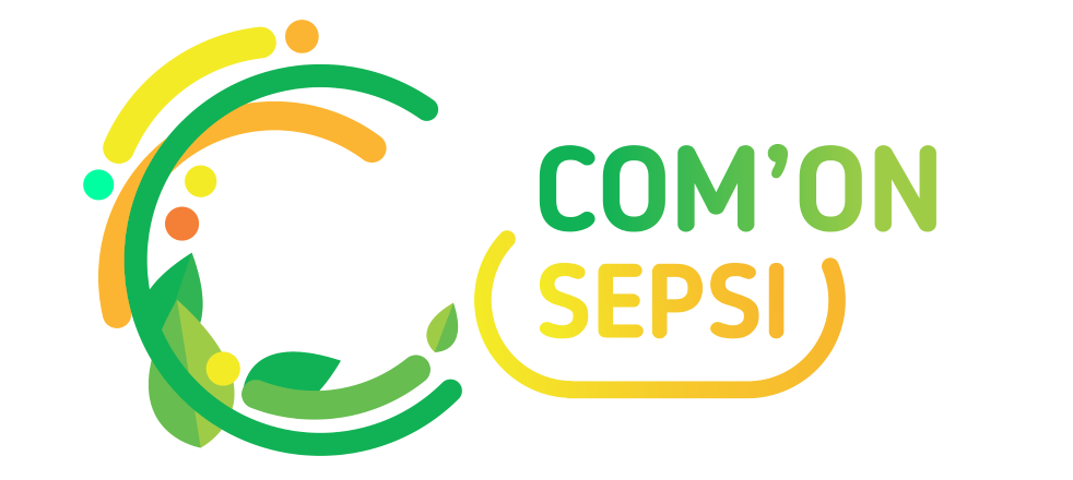 Com'ON Sepsi: Program participativ de tineret 2022