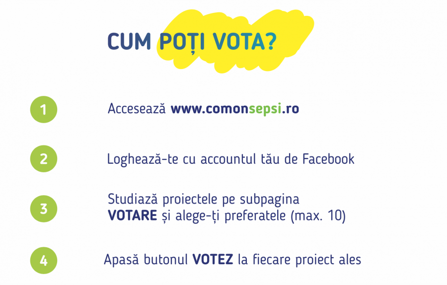 Procesul de vot